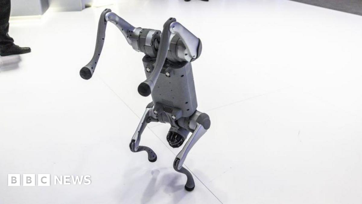 A Unitree Go2 quadruped robotic dog demonstration at the MWC25 tech show in Barcelona, Spain, on Monday, March 3, 2024. The Mobile World Congress tech show runs March 3-6.
