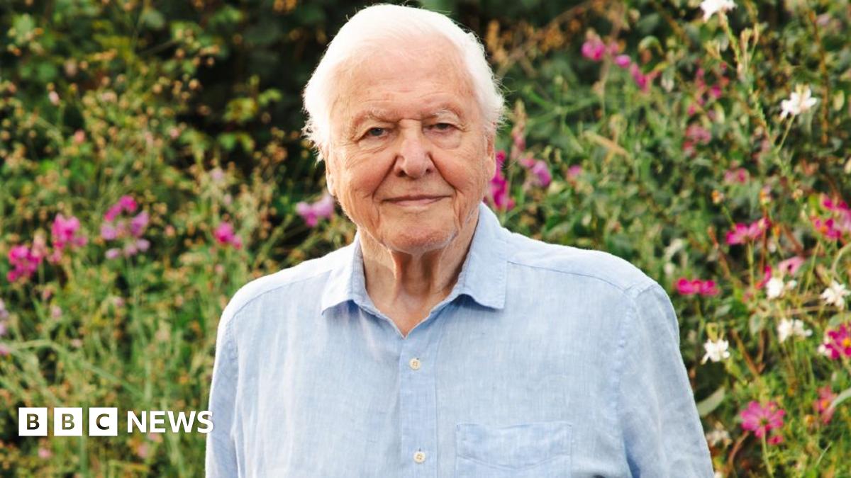 Sir David Attenborough standing in a garden with flowers in the background