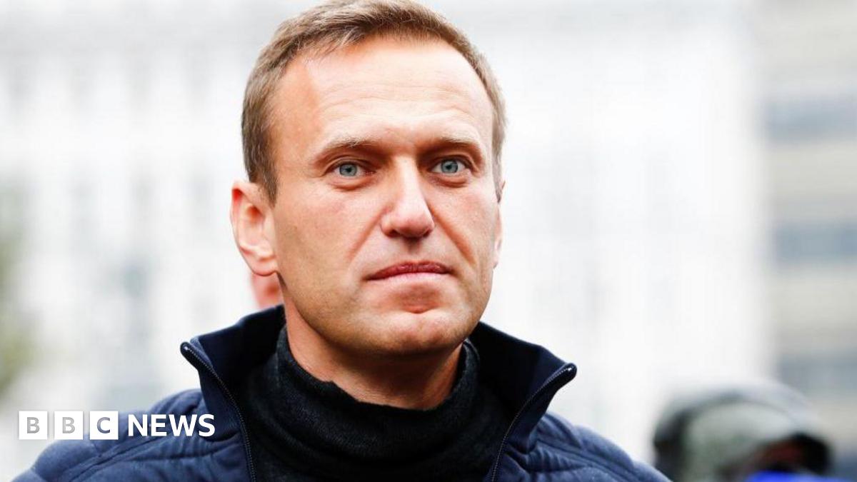 A head shot of Alexei Navalny