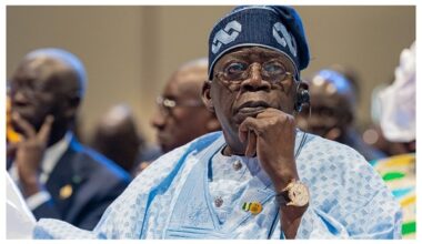 Pharmacists urge Tinubu to provide free antivenom to stop snakebite deaths