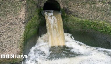 Gail Davies-Walsh  looks at the camera as she stands in front of a green bank and water body. she is wearing a burgundy windbreaker coat, open in the front revealing a purple v neck blouse. she has rectangular glasses and ear length curly dark hair