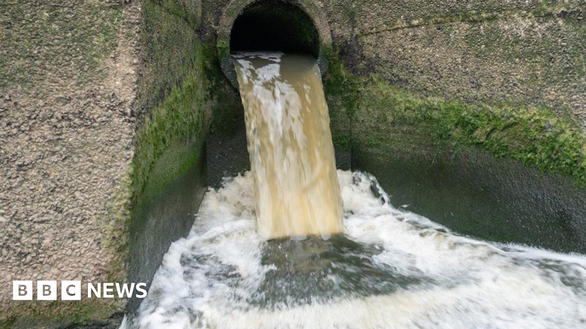 Gail Davies-Walsh  looks at the camera as she stands in front of a green bank and water body. she is wearing a burgundy windbreaker coat, open in the front revealing a purple v neck blouse. she has rectangular glasses and ear length curly dark hair
