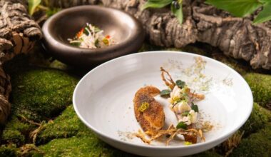 Fact Highlights Icon