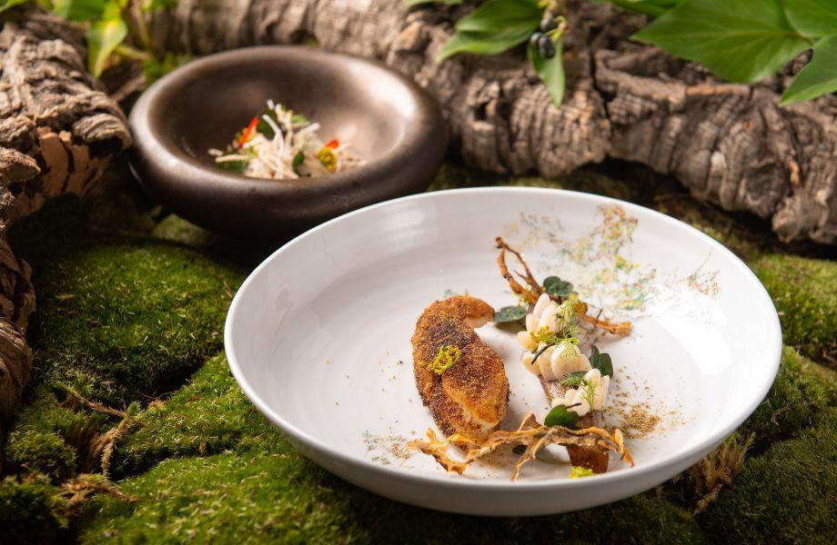 Fact Highlights Icon