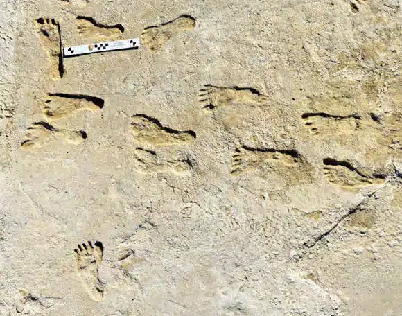 Ancient Human Footprints Found At White Sands National Park