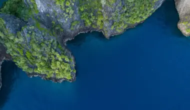 Major blind spot in ocean carbon research could