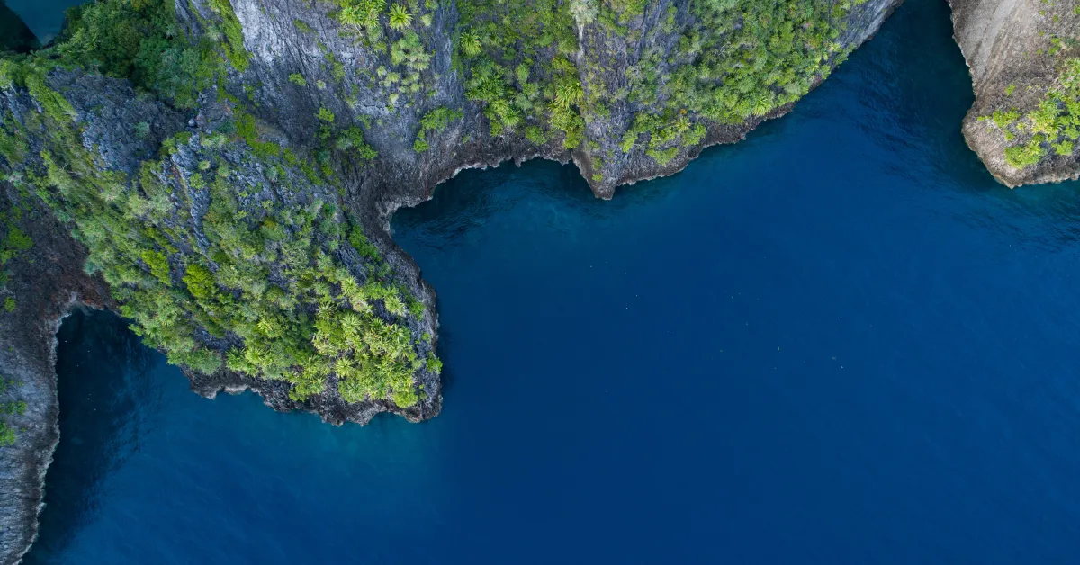 Major blind spot in ocean carbon research could