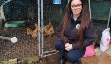 Boss of Hen Weekend in Upchurch talks about impact of bird flu outbreak on day-to-day life three months on