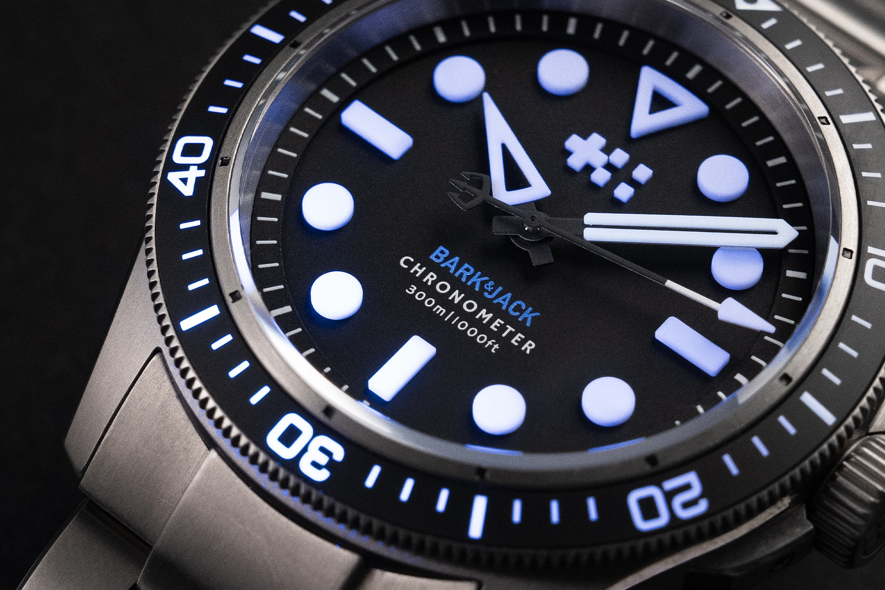 Christopher ward bark jack dial