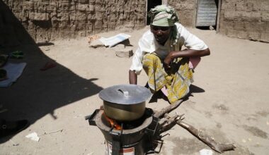 UN's new carbon market delivers first credits