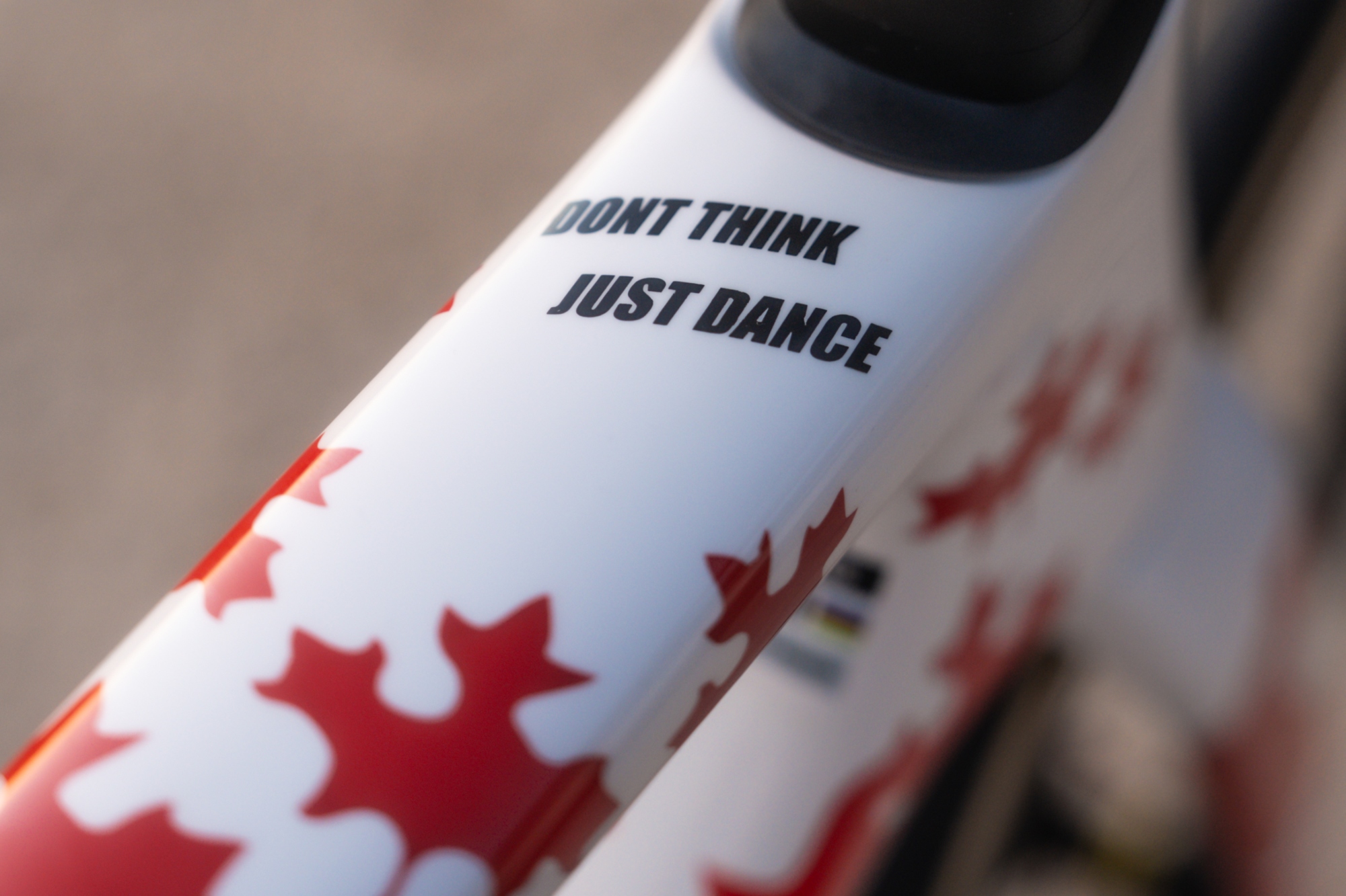 Alison Jackson's special-edition fifth-gen Cannondale SuperSix Evo