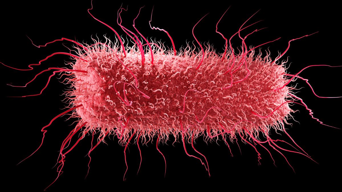 All Life on Earth Shares an Ancestor – And Some of Our Genes Predate It : ScienceAlert