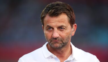 Tim Sherwood in passionate rant about West Ham fans after seeing myth busted