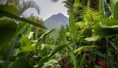 Costa Rica reversed deforestation and regrew its rainforest. How?