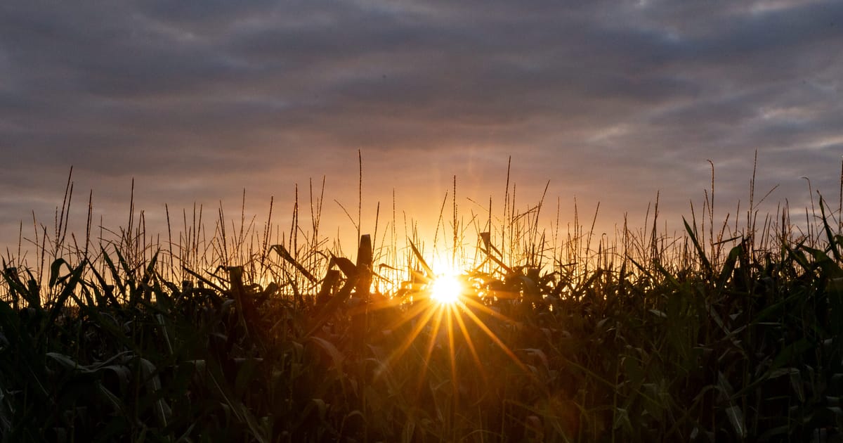 Start planning for catastrophic global warming, top advisers tell EU – POLITICO