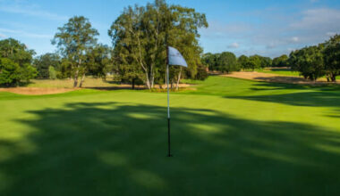 My favourite kind of people to play golf with