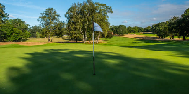 My favourite kind of people to play golf with