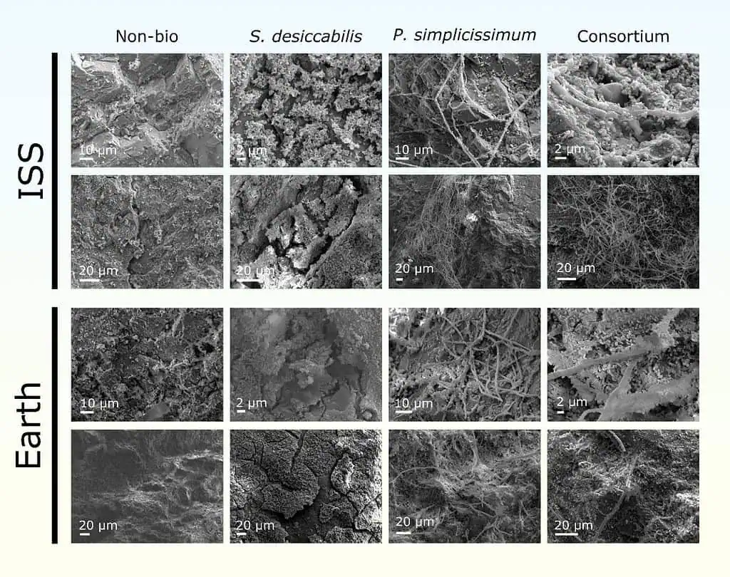High Resolution Images Of L Chondrites In Two Gravity Environments