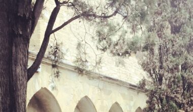 Existential Concerns and Chronic Illness