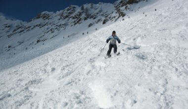 Why We’re Not Polar Bears