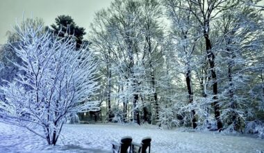 Advice From Those Who Are Grieving