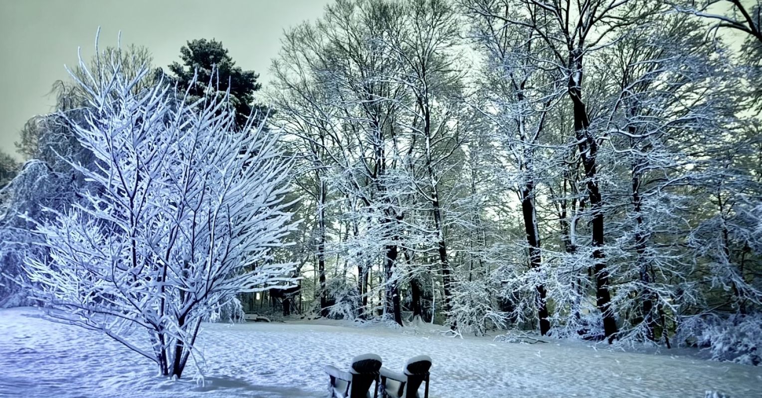 Advice From Those Who Are Grieving