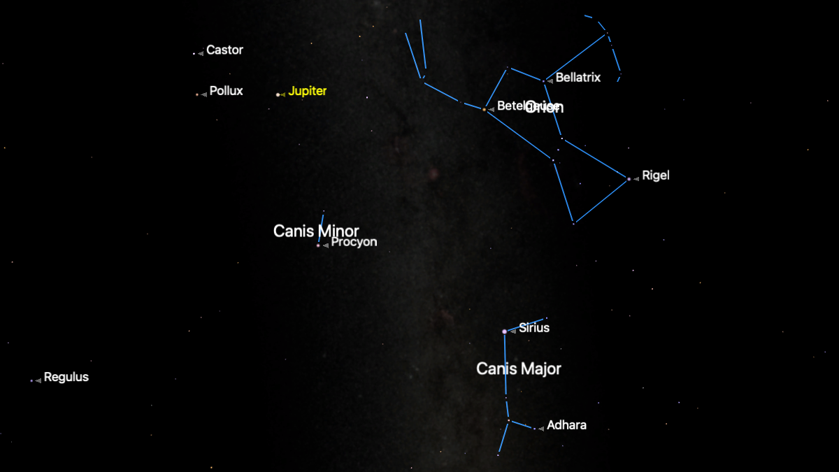A simulation of the night sky for Feb. 5, with the stars of the constellation Orion joined by a teal line, with the stars of the constellation also joined below. The glowing band of the Milky Way can be seen shining downward vertically to their left, with Jupiter beyond.