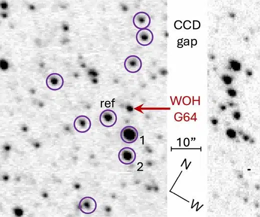 Location Of Woh G64 (red Arrow) In The Large Magellanic Cloud, With Reference Stars Circled And A 10″ Scale For Orientation.