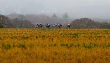 report and results – The British Continental