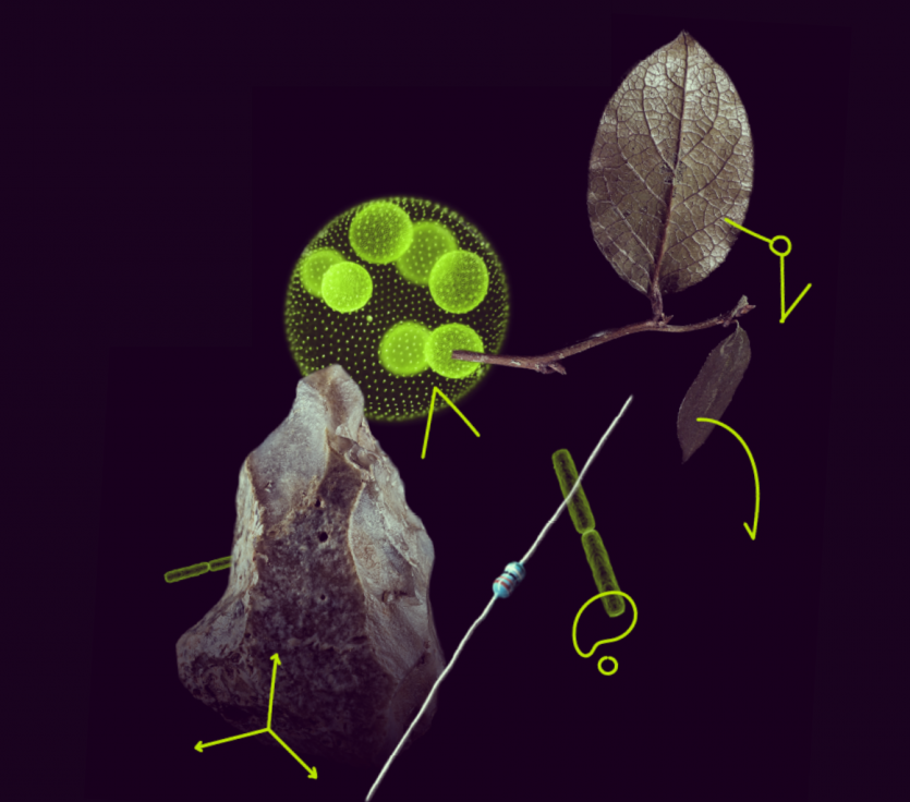 UK-based researchers are once again the top beneficiaries of EU-funded post-doctoral fellowships