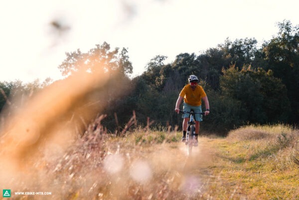 Megamo Factory Visit 72 600x401