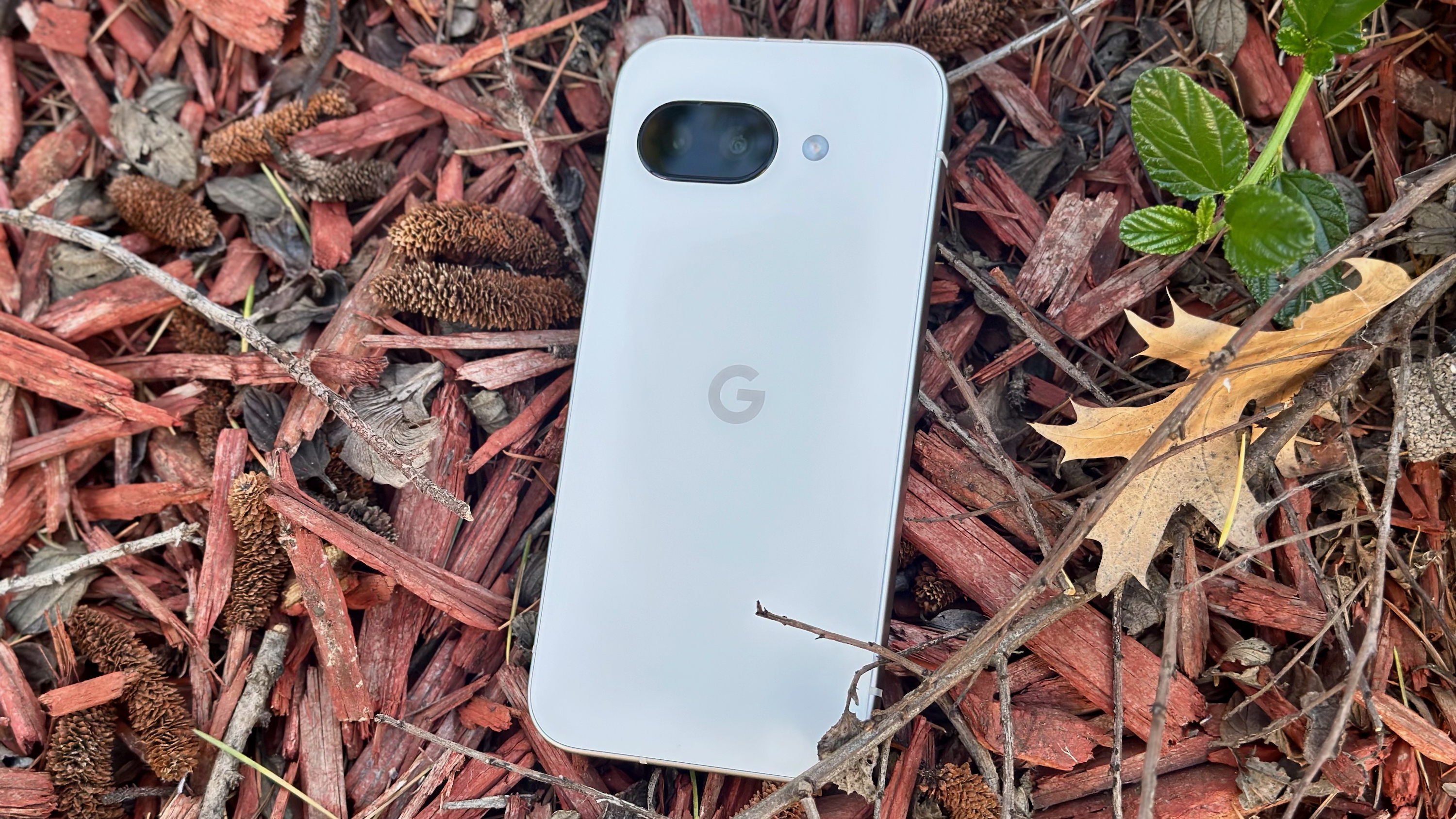 The porcelain Google Pixel 9a sitting on top of bark on the ground.