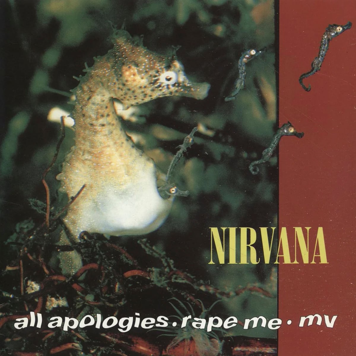 Nirvana - All Apologies - Rape Me - 1993