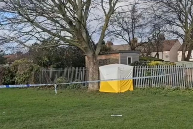A forensic tent lies at the scene of an alleged sex attack in Cottons Park.