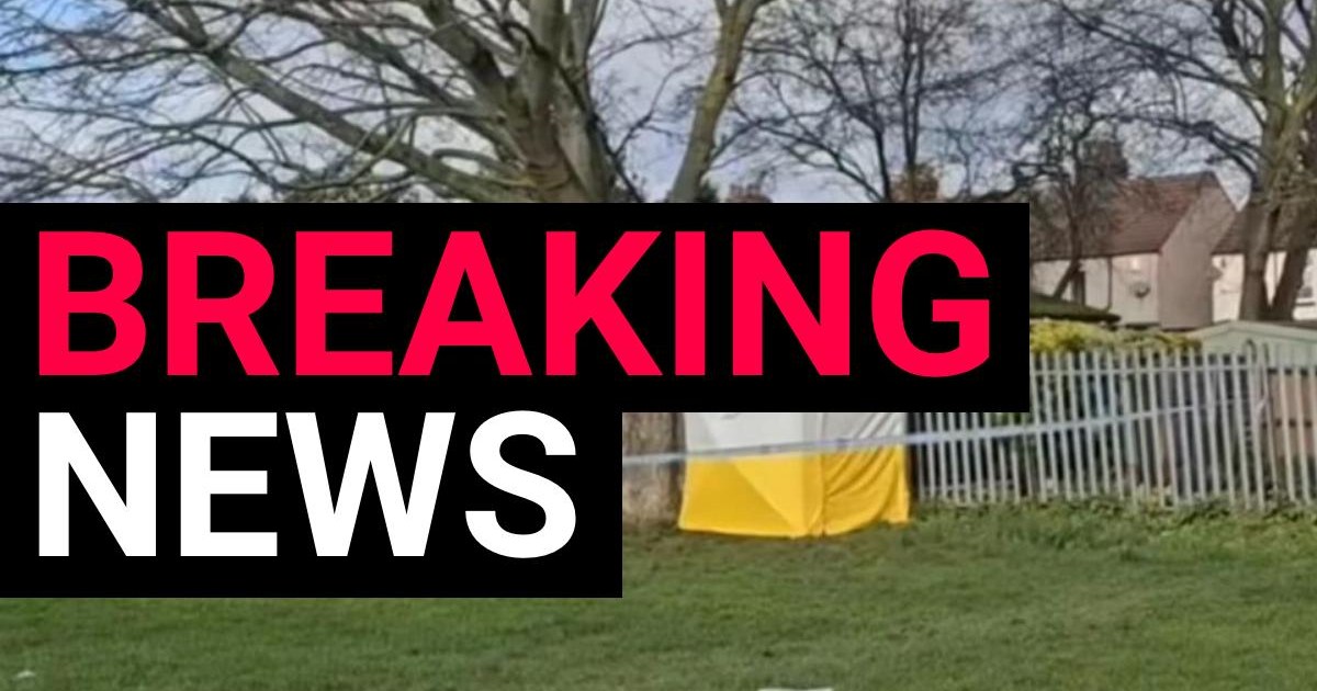 Teenage girl hospitalised after 'sex assault' in east London park | News UK
