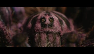 Paddington in Peru purple kneed tarantula