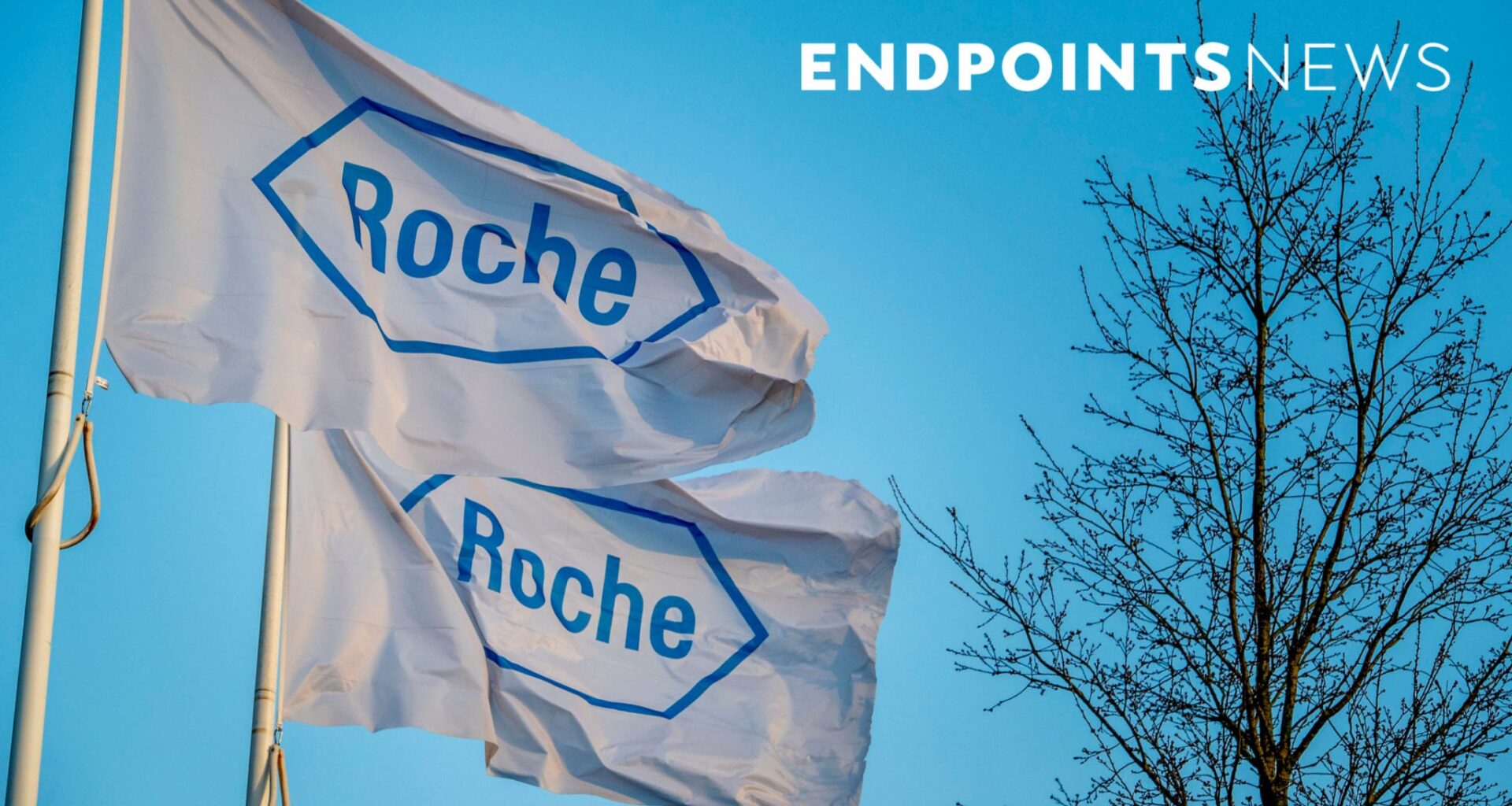Roche details non-inferiority of BTK inhibitor in multiple sclerosis trial - Endpoints News