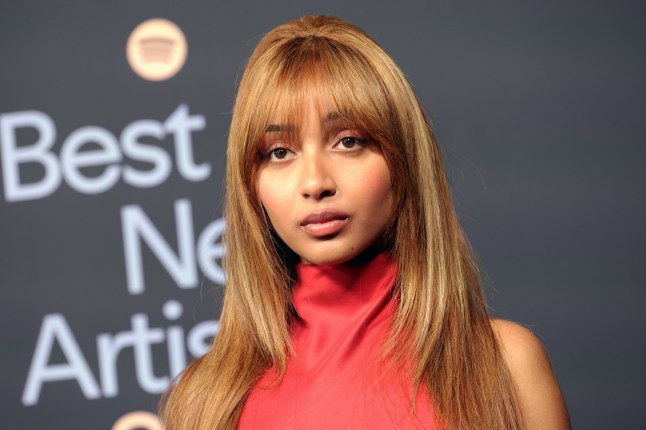 WEST HOLLYWOOD, CALIFORNIA - JANUARY 29: PinkPantheress attends 2026 Spotify Best New Artist at The Lot at Formosa on January 29, 2026 in West Hollywood, California. (Photo by Frazer Harrison/WireImage)