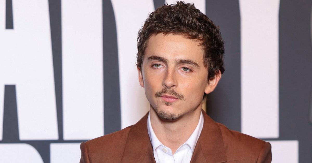 Timothée Chalamet fans floored after discovering his famous uncle