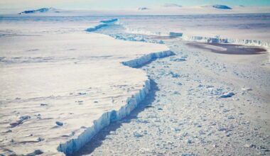 Weakening ice shelf has caused crucial Antarctic glacier to accelerate