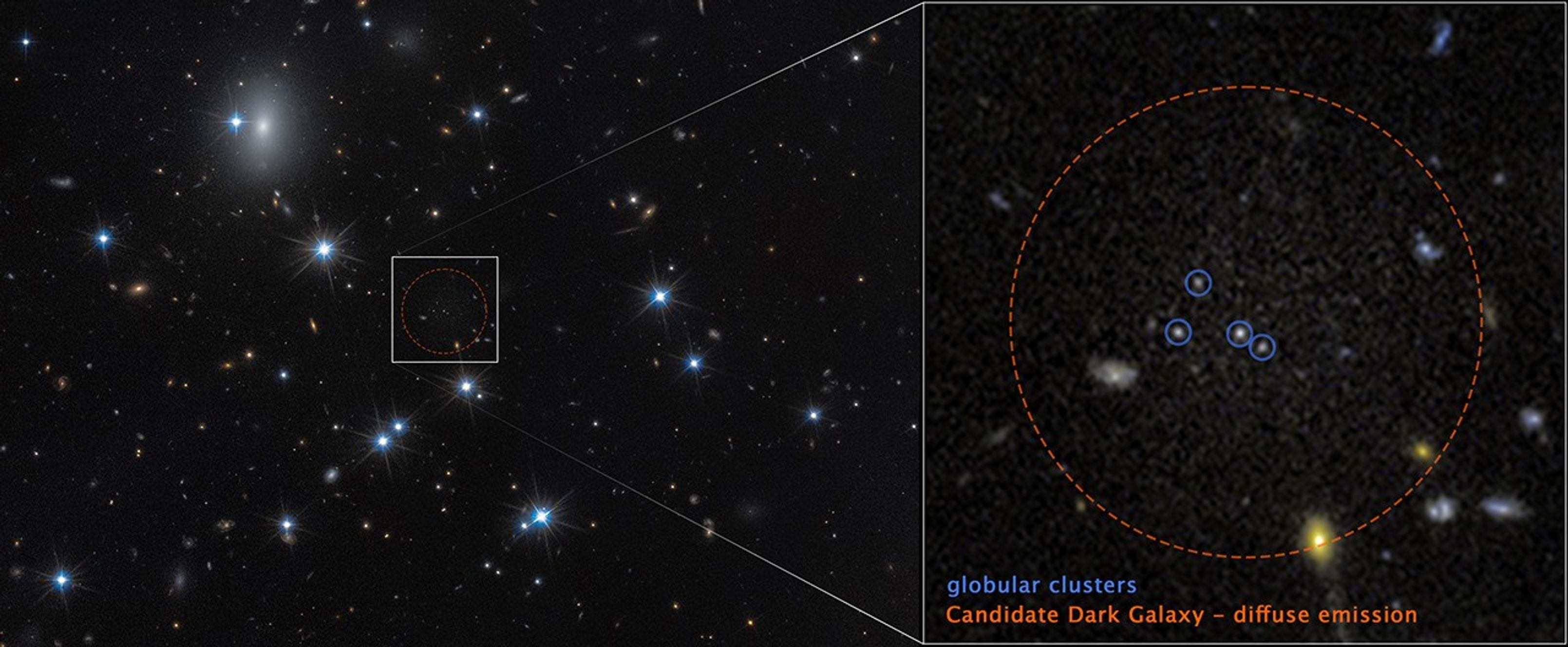At left, a field of space with a dozen white foreground stars and a number of small, yellow background galaxies. An unremarkable area at center is outlined with a dashed red circle surrounded by a white box. Lines extend from the box to a pullout at right containing faint, grainy white light surrounded by a red circle labeled “Candidate dark galaxy – diffuse emission.” Four white dots are circled in blue and labeled globular clusters.