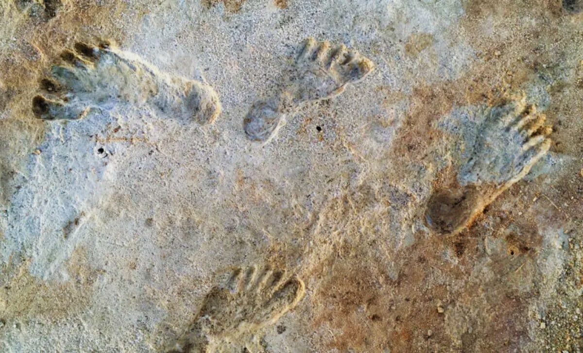 Scientists Have Discovered Ancient Human Footprints Buried In Remote Desert Sands, Here’s What They Reveal