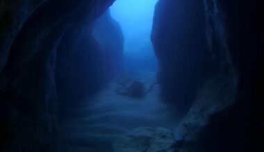 Scientists Just Discovered What Created This Massive, Mysterious Ocean Canyon Bigger Than The Grand Canyon!