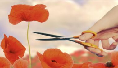 Why Competitive Women Are Sometimes Seen as Threats