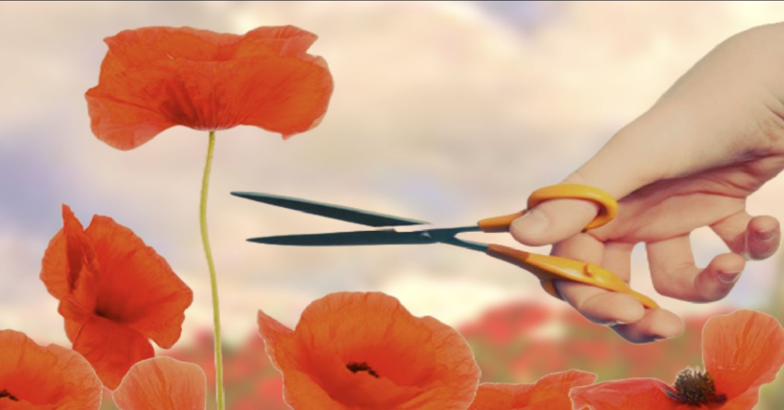 Why Competitive Women Are Sometimes Seen as Threats