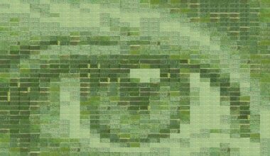 A field of wheat becomes the world’s largest living photograph - Positive News