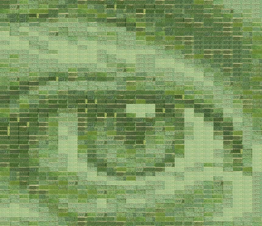 A field of wheat becomes the world’s largest living photograph - Positive News