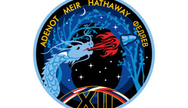 SpaceX Crew-12, 2026