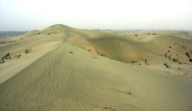Desert dunes with sparse vegetation in a vast arid landscape. Taklamakan desert