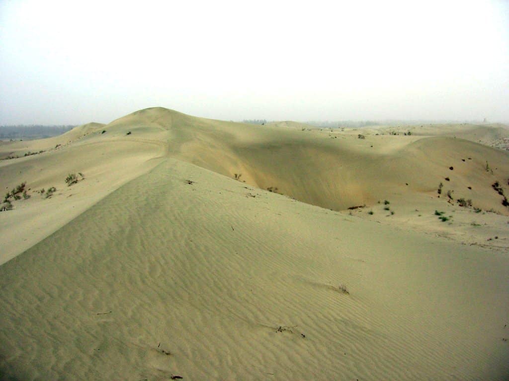 Desert dunes with sparse vegetation in a vast arid landscape. Taklamakan desert